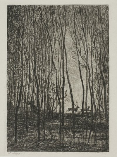 Stags in the Woods by Charles Francois Daubigny