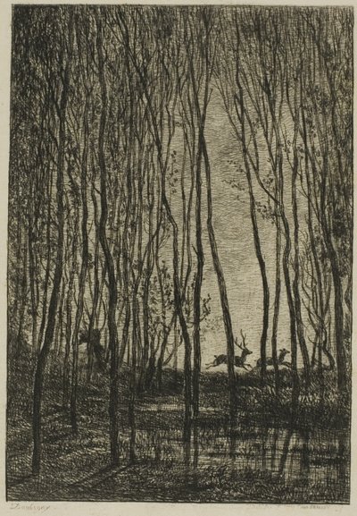 Stags in the Woods by Charles Francois Daubigny