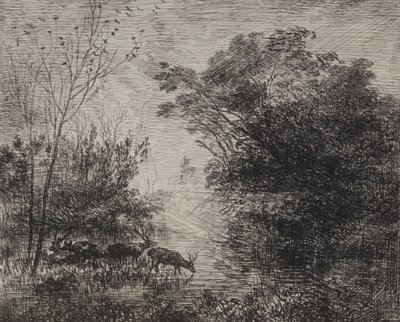 Stags, original impression 1862, printed in 1921 by Charles Francois Daubigny