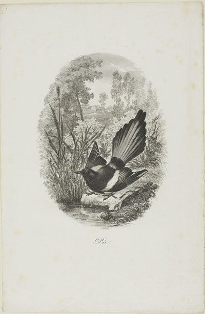The Magpie by Charles Francois Daubigny