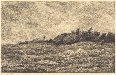 The Meadow at Grave, near Villerville by Charles Francois Daubigny