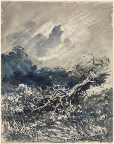 The Oak Tree and the Reed by Charles Francois Daubigny