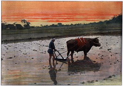 Preparation of a Rice Plantation in Japan, c1890 by Charles Gillot