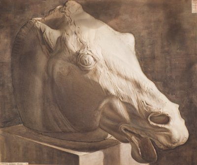 Study - Horse