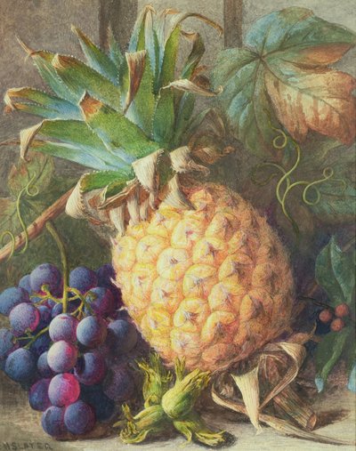 Still Life of a Pineapple and Grapes by Charles H. Slater