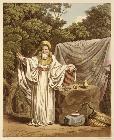An Arch Druid in his Judicial Habit, engraved by Robert Havell, 1815 by Charles Hamilton Smith