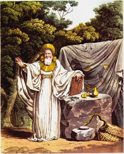 Arch-Druid in Full Judicial Costume by Charles Hamilton Smith