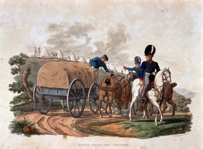Royal Artillery Drivers, from 