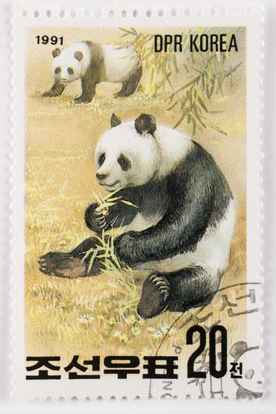 Stamp, North Korea, Giant Panda by Augustus Kollner