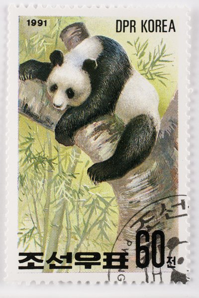 Stamp, North Korea, Giant Panda by Augustus Kollner