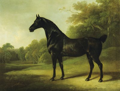 A Bay Horse in a Wooded Landscape by Charles Henry Schwanfelder