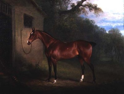 Portrait of a Bay Hunter Tethered to a Stable by Charles Henry Schwanfelder