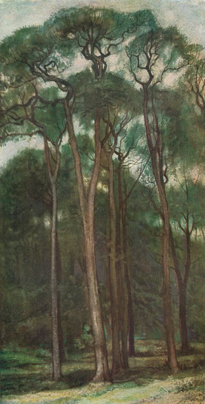 Study of Trees by Charles Holroyd
