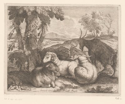 Sheep and Goats under a Tree (Animal Series) by Charles II Errard (attributed to)