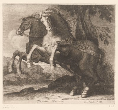 Rearing Horses (Chevaux Tartare, Animal Series) by Charles II Errard (attributed to)