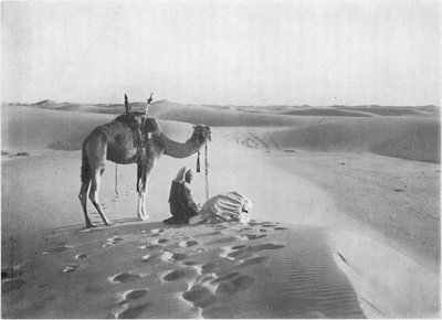The Sunset Prayer in the Desert by Charles J. S. Makin