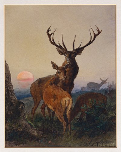 A Stag with Deer in a Wooded Landscape at Sunset, 1865 by Charles Jones