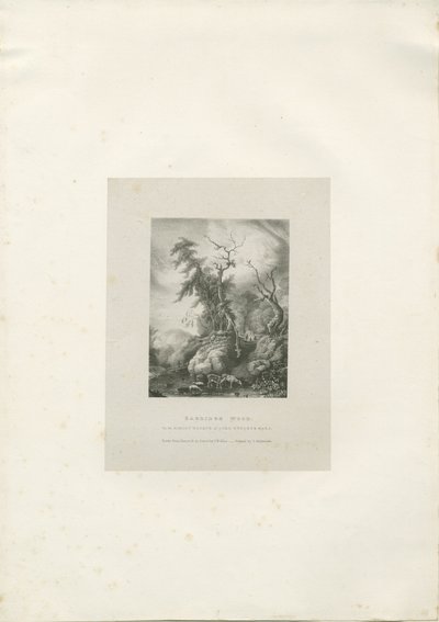 Himley Estate - 