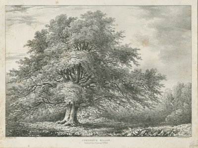 Lichfield - Dr. Johnson