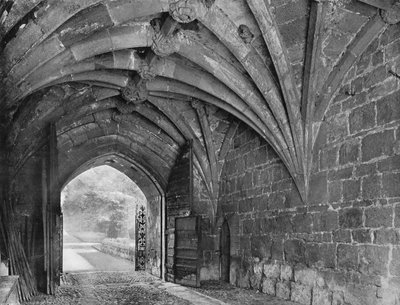 Ancient Vaulting and Wood Gates by Charles Latham