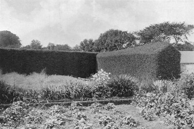 Box Hedges in Kitchen Garden by Charles Latham