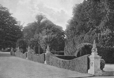 Divisions of Yew by Charles Latham