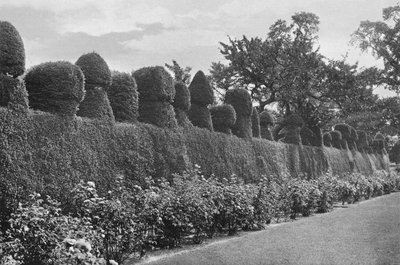 Fulford Hall: Eccentric Topiary Work by Charles Latham