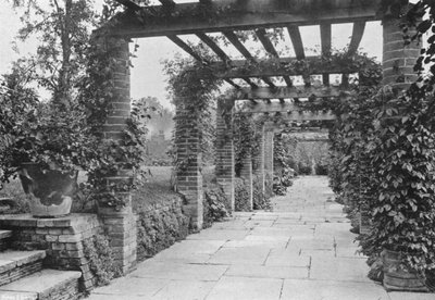 Looking South Down the Pergola by Charles Latham
