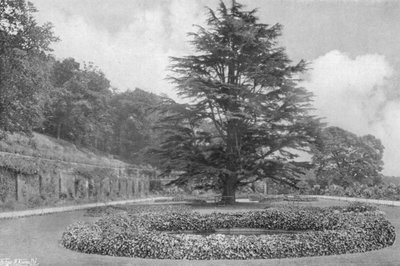 On the Lawn by Charles Latham