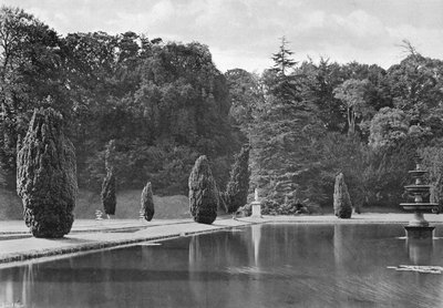 The Shadow of a Yew by Charles Latham