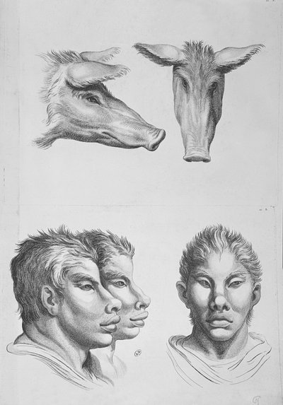 Similarities Between the Head of an Easel and a Man, from 