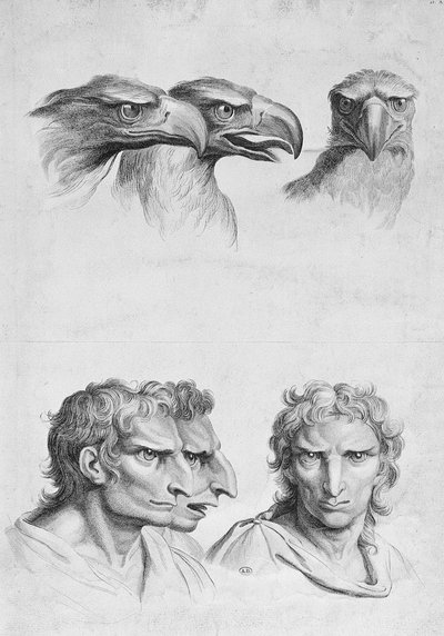 Similarities Between the Head of an Eagle and a Man, from 