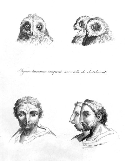 Similarities between the Head of a Barn Owl and a Man, from 