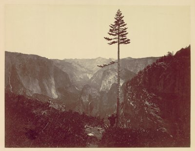 Yosemite Valley from Mariposa Trail, 1865 by Charles Leander Weed