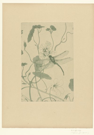 Dragonfly on Nasturtium Flower (Fleurs) by Charles Louis Houdard