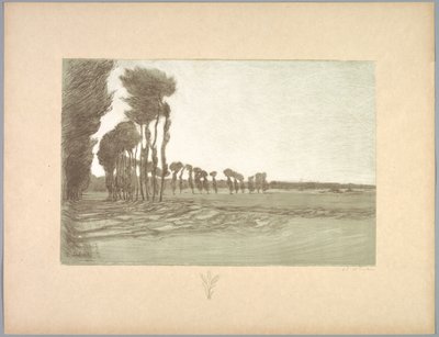 Suite de Paysages: Landscape, Plate 5, Remarque, Three Stalks of Wheat by Charles Marie Dulac