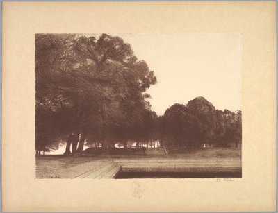 Suite of Landscapes: Landscape, Plate 7, Remarque, Poppies by Charles Marie Dulac