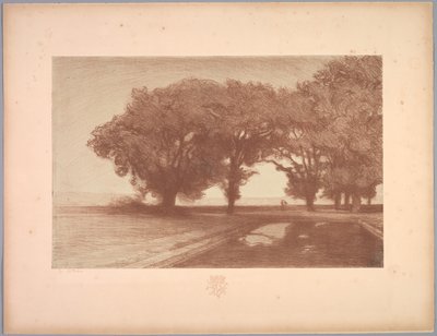 Suite of Landscapes: Landscape, Plate 8, Remarque, Pansies by Charles Marie Dulac