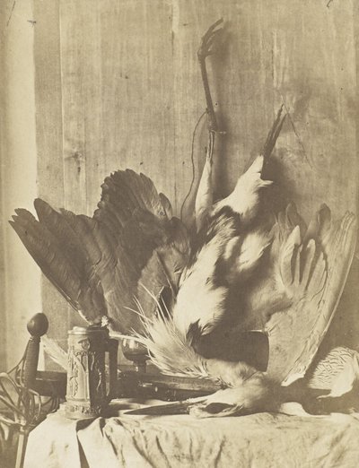 Game Still Life by Charles Marville
