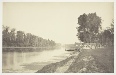 Untitled [Trees near water in the Bois de Boulogne, a park in Paris] by Charles Marville