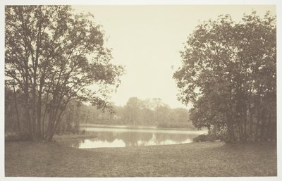 Untitled [Trees near water in the Bois de Boulogne, a park in Paris] by Charles Marville