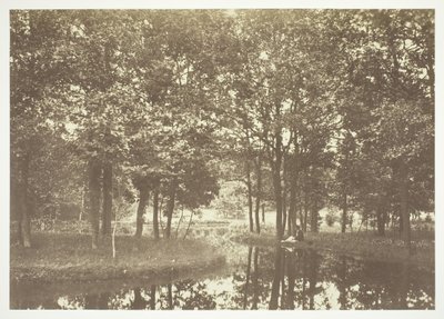 Untitled, c. 1850 by Charles Marville