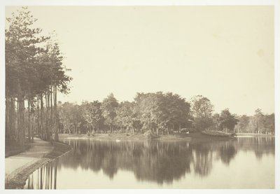 Untitled, c. 1850 by Charles Marville