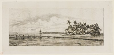 Oceania: Fishing, Near Islands with Palms in the Uea or Wallis Group, 1845 by Charles Meryon