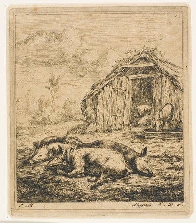 Three Pigs Lying in Front of a Shed by Charles Meryon