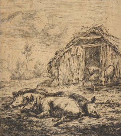 Three Pigs Lying in Front of a Shed, 1850 by Charles Meryon
