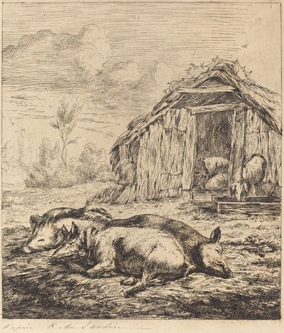 Three Swine Lying In Front of a Sty by Charles Meryon after Karel Dujardin