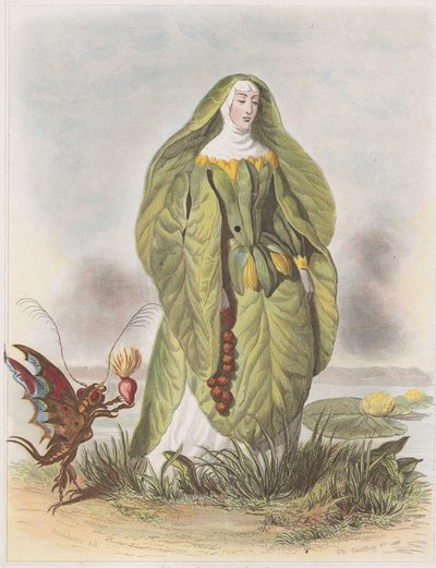 Nenuphar, from Les Fleurs Animées by Charles Michel Geoffroy