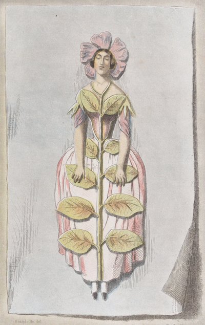 Pervenche Desséchée, from Les Fleurs Animées, 1847 by Charles Michel Geoffroy