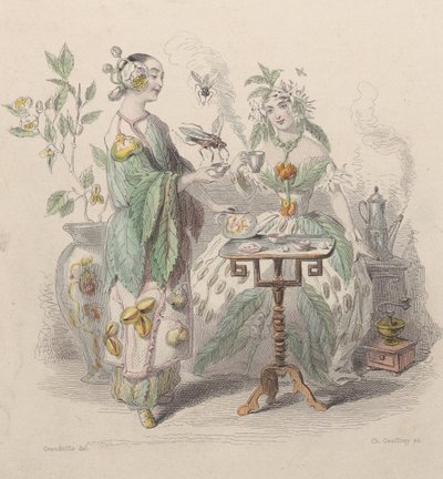Tea & Coffee, from Les Fleurs Animées by Charles Michel Geoffroy